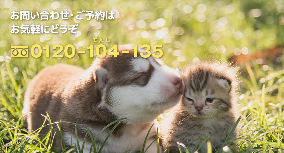 お問い合わせ・ご予約はお気軽にどうぞ。0120-104-135